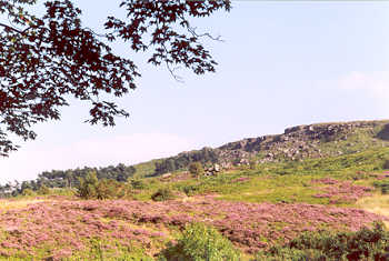 Lande d'Ilkley