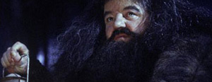 Hagrid dans les films 