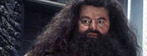 Hagrid dans les films 