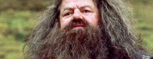 Hagrid dans les films 