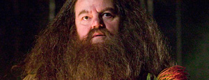 Hagrid dans les films 