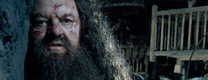 Hagrid dans les films 