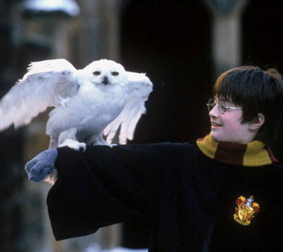 Harry et Hedwige dans ES/f