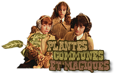 Plantes communes et magiques