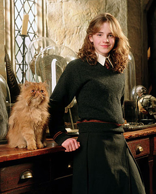 Hermione et Pattenrond dans PA/f