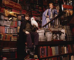 Harry, Hedwige et Lockhart chez Fleury et Bott dans CS/f