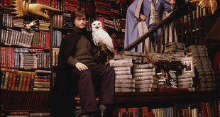 Harry, Hedwige et Lockhart chez Fleury et Bott dans CS/f