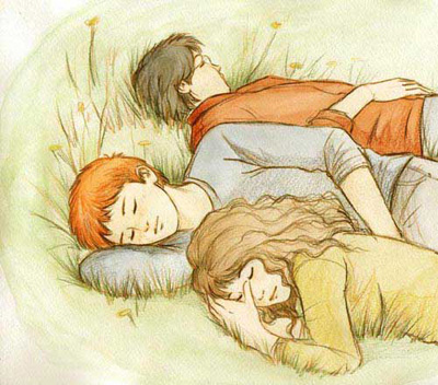 Le trio se reposant dans l'herbe 