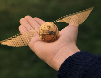 Livre projection Quidditch